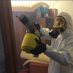 Уничтожение клопов в квартире. Василеостровкая